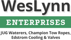 WesLynn Enterprises